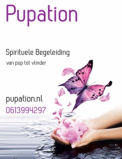 Pupation